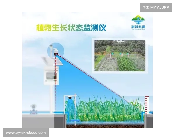 美网阿瑟·阿什球场引入全新草地球速监测系统提升比赛精准度